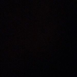 Meet your Posher, Bailey